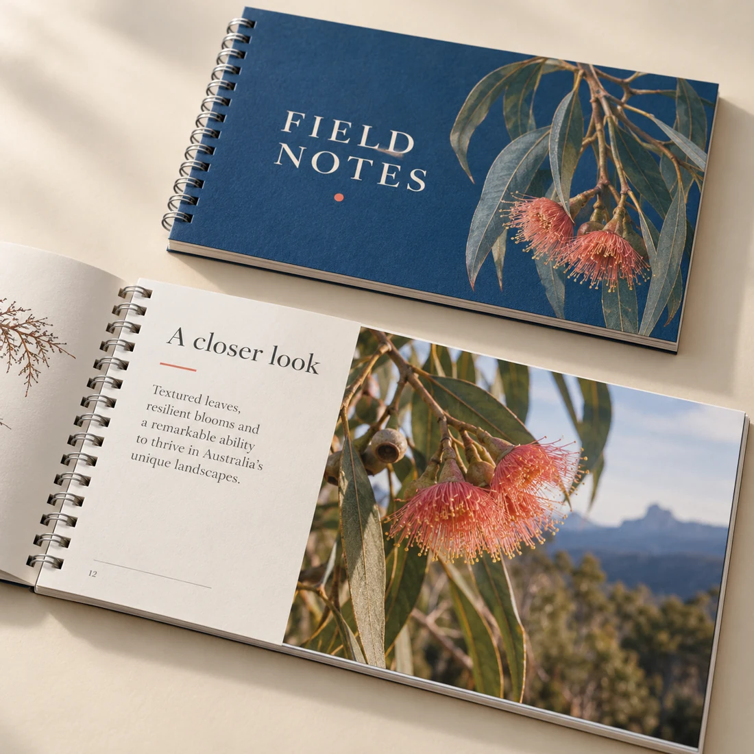 Illustrative wiro magazines